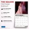 Plato; Taylor Swift OFFICIAL | 2027 12 x 24 Inch (Hanging) Monthly Square Wall Calendar; Category:Wall Calendars; Image:7